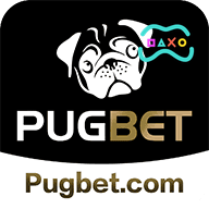 Pugbet: Seu Cassino Confiável e Seguro